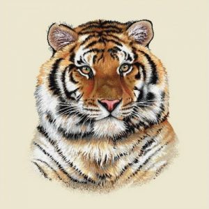 Tissu face de coussin - Tigre