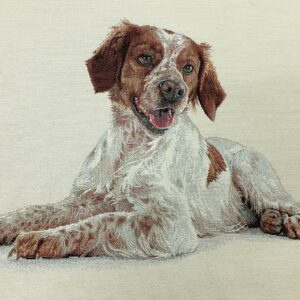 Faces de coussin en tapisserie ! Idéales pour la création de sacs ou de coussins originaux ! Dimensions : 45 x 45cm I