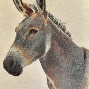 carré tapisserie 45 45cm motif Ane mignon