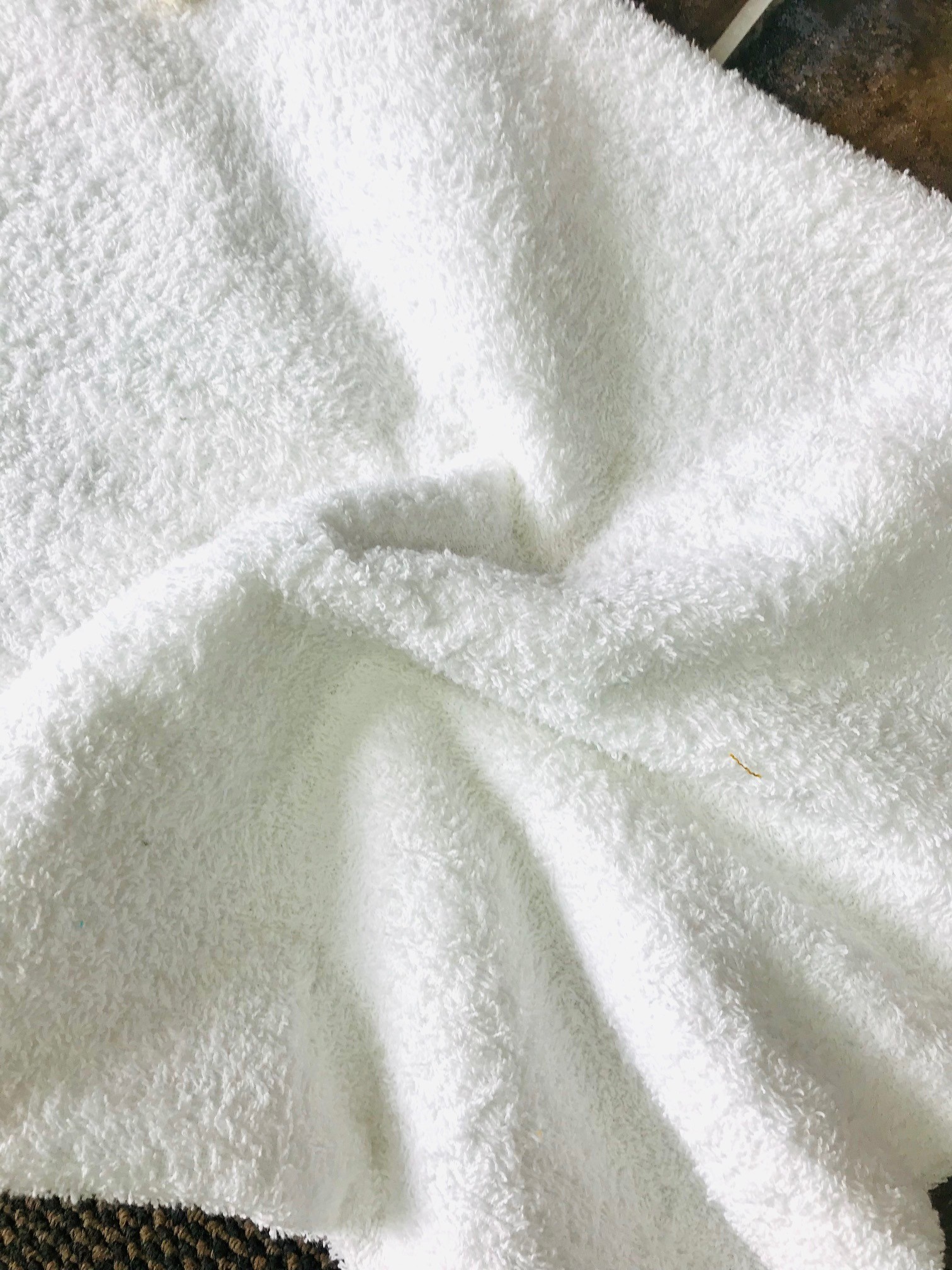 tissu éponge coton en largeur 150cm coloris blanc
