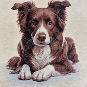Carrés BORDER COLLIE en tissu jacquard bien épais