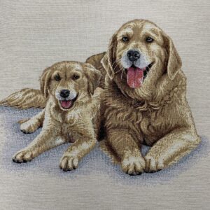 Tissu face de coussin - Labradors